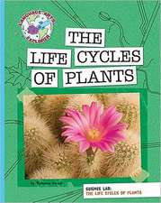 The Life Cycles of Plants