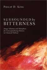 Surrounded by Bitterness: Image Schemas and Metaphors for Conceptualizing Distress in Classical Hebrew