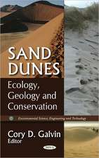 Sand Dunes