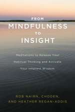 From Mindfulness to Insight: Meditations to Release Your Habitual Thinking and Activate Your Inherent Wisdom