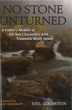 No Stone Unturned: A Father's Memoir of His Son's Encounter with Traumatic Brain Injury