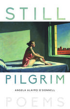 Still Pilgrim