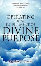 Operating in the Fulfillment of Divine Purpose