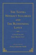 The Tantra Without Syllables (Vol 3) and the Blazing Lamp Tantra (Vol 4)