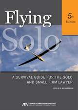 Flying Solo: A Survival Guide for the Solo and Small Firm Lawyer