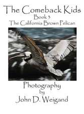 The Comeback Kids, Book 3, the California Brown Pelican