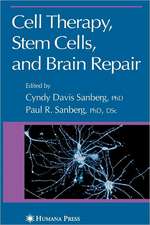 Cell Therapy, Stem Cells and Brain Repair