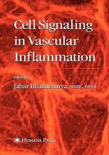 Cell Signaling in Vascular Inflammation