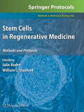 Stem Cells in Regenerative Medicine