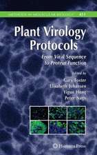 Plant Virology Protocols: From Viral Sequence to Protein Function