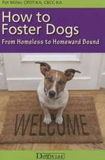 How to Foster Dogs: From Homeless to Homeward Bound