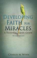 Developing Faith for Miracles: The Jabezzan Box Book Two