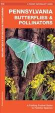 Pennsylvania Butterflies & Pollinators: A Folding Pocket Guide to Familiar Species