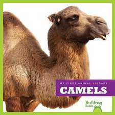 Camels