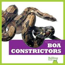 Boa Constrictors