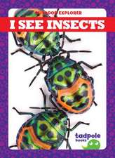 I See Insects