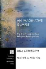 An Imaginative Glimpse: The Trinity and Multiple Religious Participations