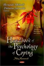 Handbook of the Psychology of Coping: New Research