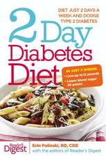 2 Day Diabetes Diet: Power Burn Just 2 Days a Week to Drop the Pounds