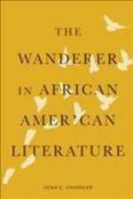 The Wanderer in African American Literature