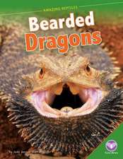 Bearded Dragons