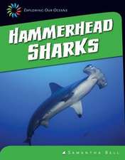 Hammerhead Sharks