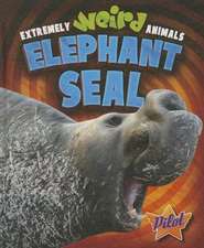 Elephant Seal