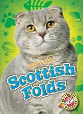 Scottish Folds