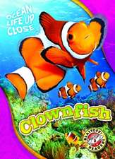 Clownfish