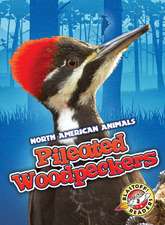 Pileated Woodpeckers