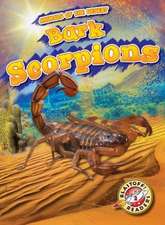 Bark Scorpions