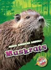 Muskrats