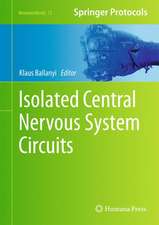 Isolated Central Nervous System Circuits