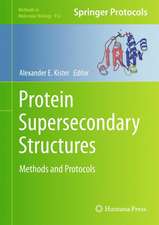 Protein Supersecondary Structures