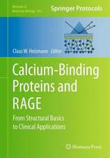 Calcium-Binding Proteins and RAGE: From Structural Basics to Clinical Applications