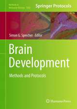 Brain Development