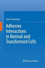 Adhesive Interactions in Normal and Transformed Cells