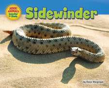 Sidewinder