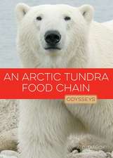 An Arctic Tundra Food Chain