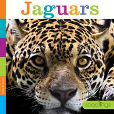 Jaguars