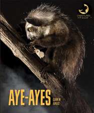 Aye-Ayes