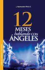 Doce Meses Hablando Con Angeles