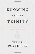 Knowing and the Trinity