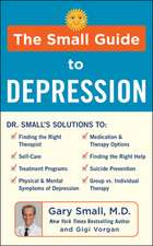 Small Guide to Depression