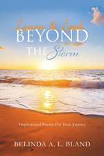 Learn to Look Beyond The Storm