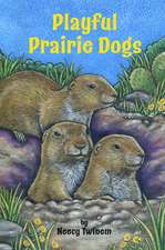 PLAYFUL PRAIRIE DOG