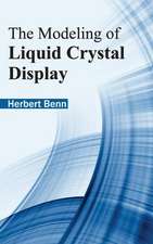 Modeling of Liquid Crystal Display: Theoretical and Practical Approaches