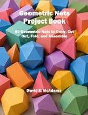 Geometric Nets Project Book