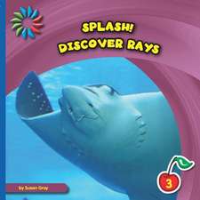Discover Rays