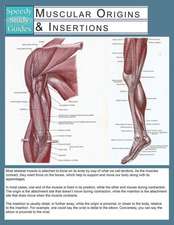 Muscular Origins & Insertions (Speedy Study Guide)